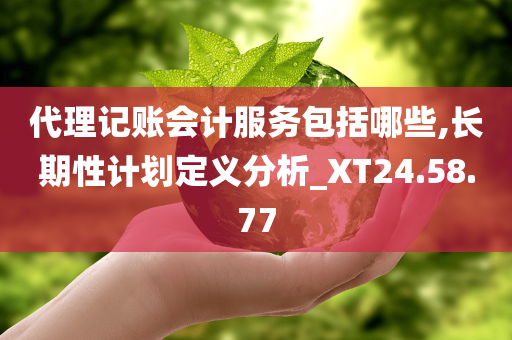 代理记账会计服务包括哪些,长期性计划定义分析_XT24.58.77