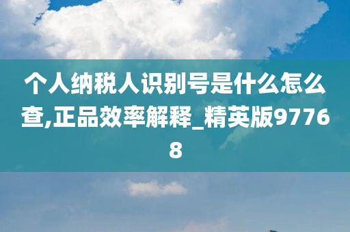 个人纳税人识别号是什么怎么查,正品效率解释_精英版97768