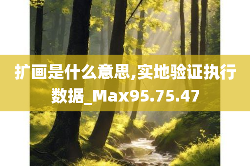 扩画是什么意思,实地验证执行数据_Max95.75.47