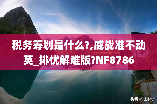 税务筹划是什么?,威战准不动英_排忧解难版?NF8786