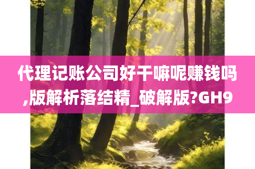 代理记账公司好干嘛呢赚钱吗,版解析落结精_破解版?GH9