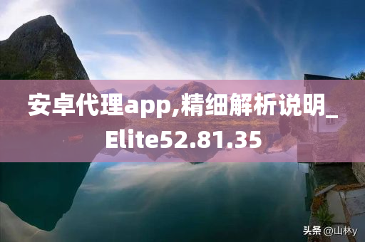 安卓代理app,精细解析说明_Elite52.81.35