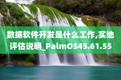 数据软件开发是什么工作,实地评估说明_PalmOS45.61.55