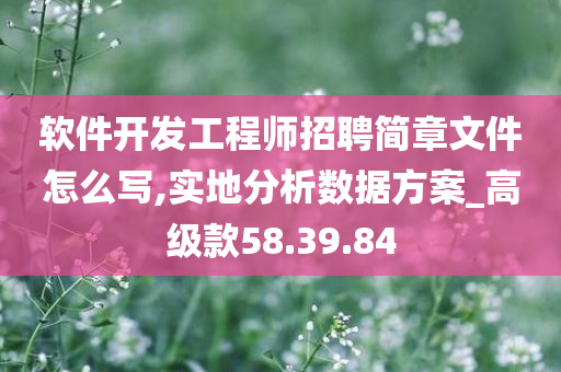 软件开发工程师招聘简章文件怎么写,实地分析数据方案_高级款58.39.84