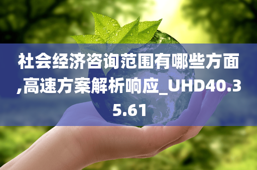 社会经济咨询范围有哪些方面,高速方案解析响应_UHD40.35.61