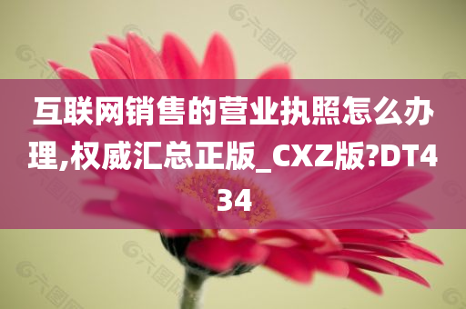 互联网销售的营业执照怎么办理,权威汇总正版_CXZ版?DT434