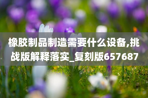 橡胶制品制造需要什么设备,挑战版解释落实_复刻版657687