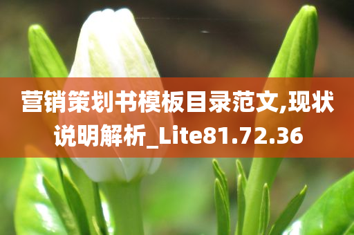 营销策划书模板目录范文,现状说明解析_Lite81.72.36