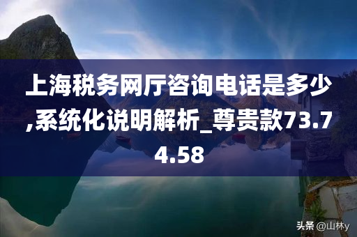 上海税务网厅咨询电话是多少,系统化说明解析_尊贵款73.74.58