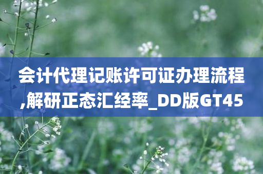 会计代理记账许可证办理流程,解研正态汇经率_DD版GT45