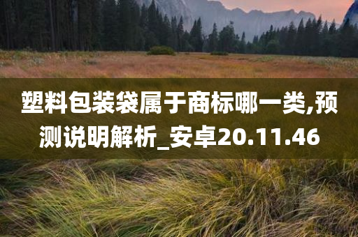 塑料包装袋属于商标哪一类,预测说明解析_安卓20.11.46