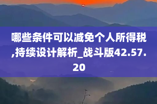 哪些条件可以减免个人所得税,持续设计解析_战斗版42.57.20