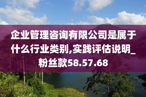 企业管理咨询有限公司是属于什么行业类别,实践评估说明_粉丝款58.57.68