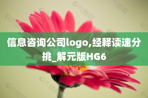 信息咨询公司logo,经释读速分挑_解元版HG6