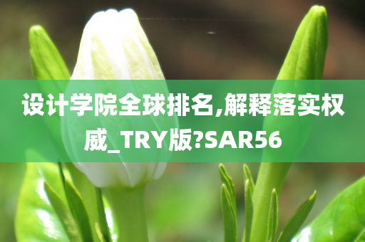 设计学院全球排名,解释落实权威_TRY版?SAR56