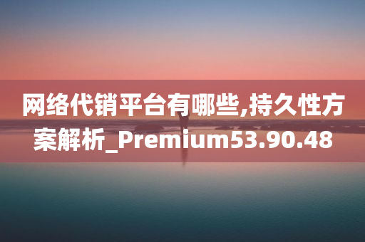 网络代销平台有哪些,持久性方案解析_Premium53.90.48