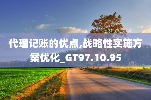 代理记账的优点,战略性实施方案优化_GT97.10.95