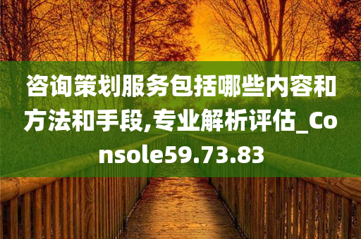 咨询策划服务包括哪些内容和方法和手段,专业解析评估_Console59.73.83