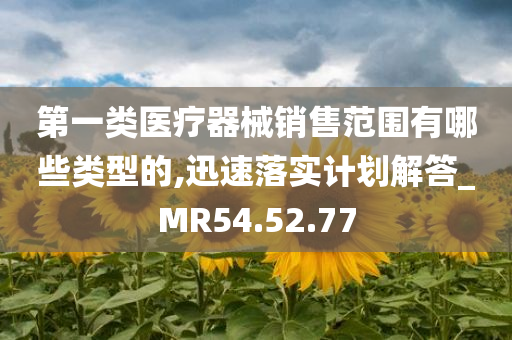 第一类医疗器械销售范围有哪些类型的,迅速落实计划解答_MR54.52.77