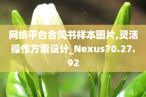 网络平台合同书样本图片,灵活操作方案设计_Nexus70.27.92