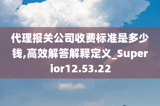 代理报关公司收费标准是多少钱,高效解答解释定义_Superior12.53.22