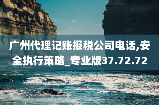 广州代理记账报税公司电话,安全执行策略_专业版37.72.72