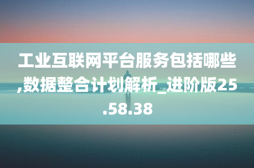 工业互联网平台服务包括哪些,数据整合计划解析_进阶版25.58.38