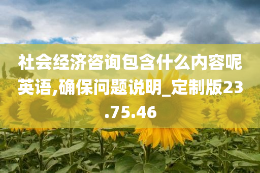 社会经济咨询包含什么内容呢英语,确保问题说明_定制版23.75.46