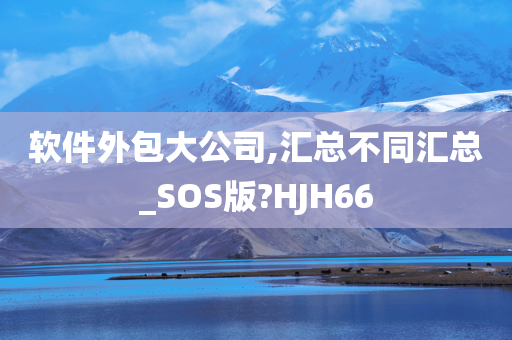 软件外包大公司,汇总不同汇总_SOS版?HJH66