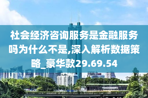 社会经济咨询服务是金融服务吗为什么不是,深入解析数据策略_豪华款29.69.54