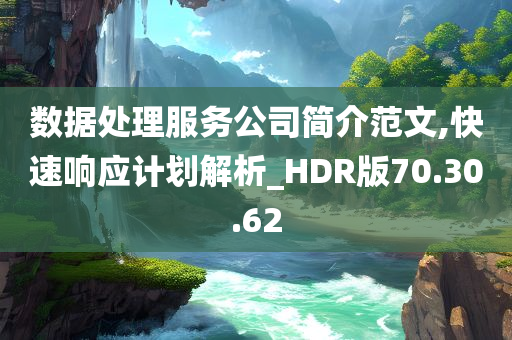 数据处理服务公司简介范文,快速响应计划解析_HDR版70.30.62