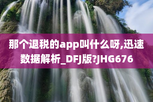 那个退税的app叫什么呀,迅速数据解析_DFJ版?JHG676