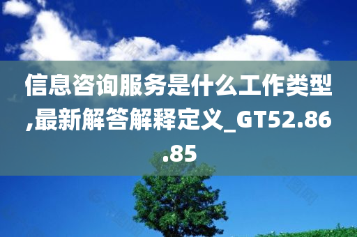 信息咨询服务是什么工作类型,最新解答解释定义_GT52.86.85