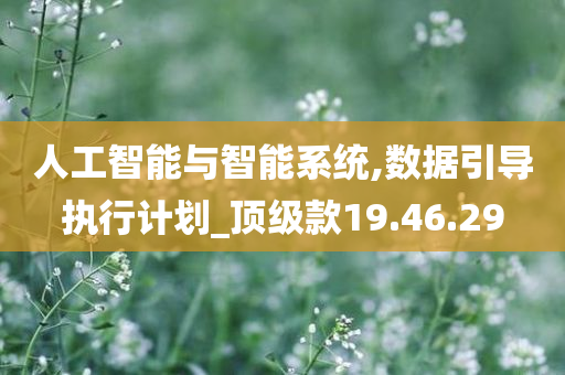 人工智能与智能系统,数据引导执行计划_顶级款19.46.29