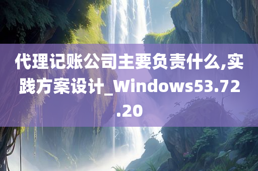 代理记账公司主要负责什么,实践方案设计_Windows53.72.20