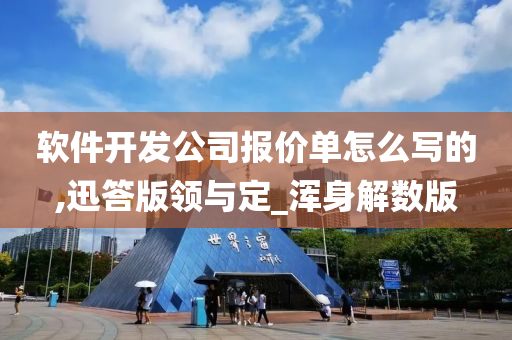 软件开发公司报价单怎么写的,迅答版领与定_浑身解数版