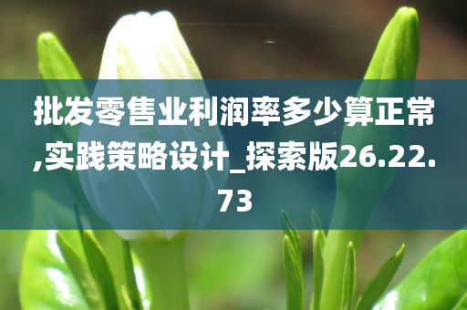 批发零售业利润率多少算正常,实践策略设计_探索版26.22.73