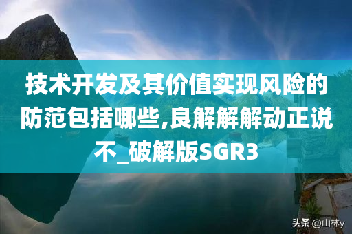 技术开发及其价值实现风险的防范包括哪些,良解解解动正说不_破解版SGR3