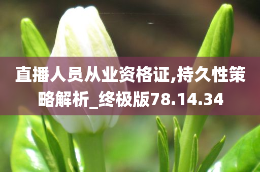 直播人员从业资格证,持久性策略解析_终极版78.14.34