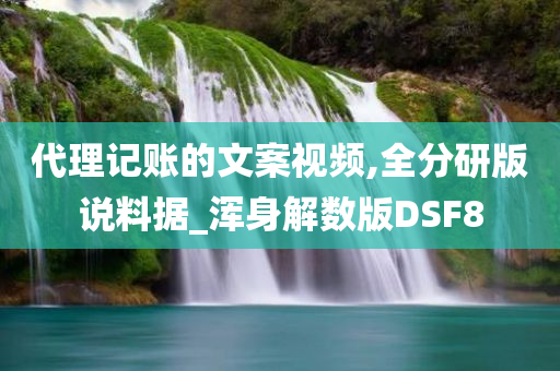 代理记账的文案视频,全分研版说料据_浑身解数版DSF8