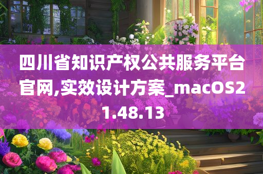 四川省知识产权公共服务平台官网,实效设计方案_macOS21.48.13