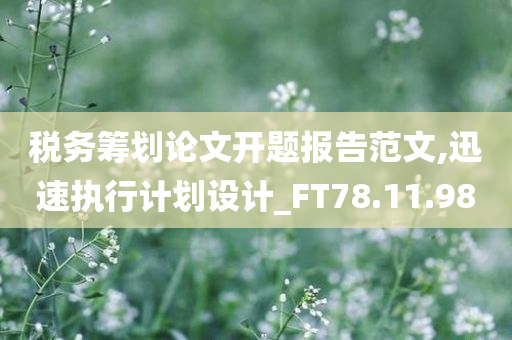 税务筹划论文开题报告范文,迅速执行计划设计_FT78.11.98