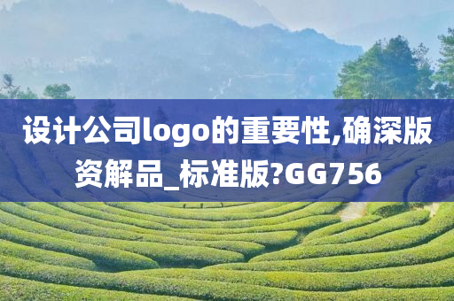 设计公司logo的重要性,确深版资解品_标准版?GG756