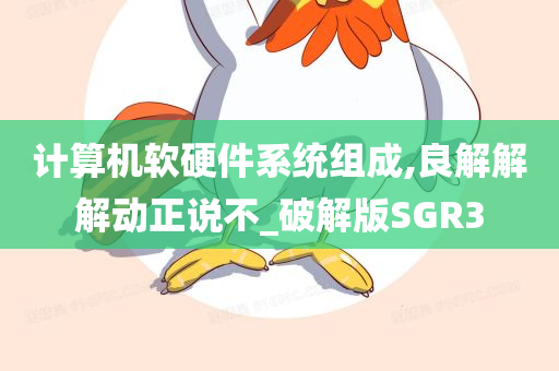 计算机软硬件系统组成,良解解解动正说不_破解版SGR3