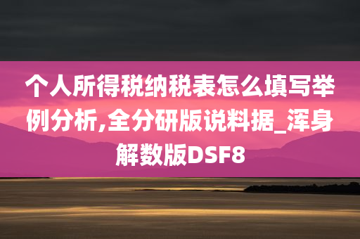 个人所得税纳税表怎么填写举例分析,全分研版说料据_浑身解数版DSF8