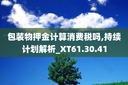 包装物押金计算消费税吗,持续计划解析_XT61.30.41