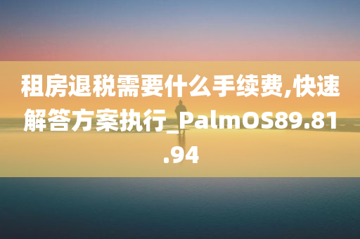 租房退税需要什么手续费,快速解答方案执行_PalmOS89.81.94