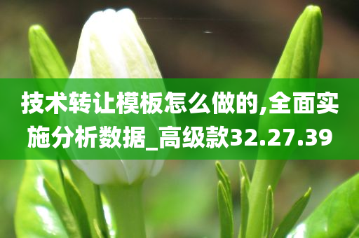 技术转让模板怎么做的,全面实施分析数据_高级款32.27.39