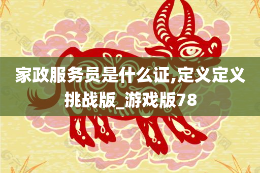 家政服务员是什么证,定义定义挑战版_游戏版78