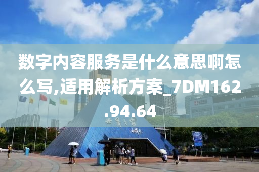 数字内容服务是什么意思啊怎么写,适用解析方案_7DM162.94.64